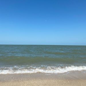 Meet your Posher, Cee